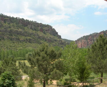 DSCN3367 DSCN3367