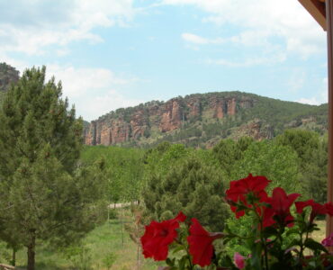 DSCN3379 DSCN3379